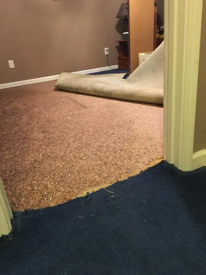 Carpet pad removal revealing water damage during Water Mitigation Services in Williamsport