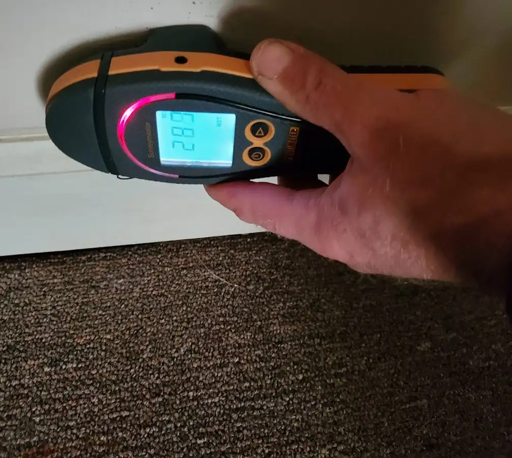 Moisture detection at baseboard during Burst Pipe Cleanup in Williamsport